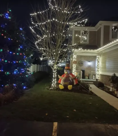 Bare front-yard tree wrapped branch by branch in multicolor lights