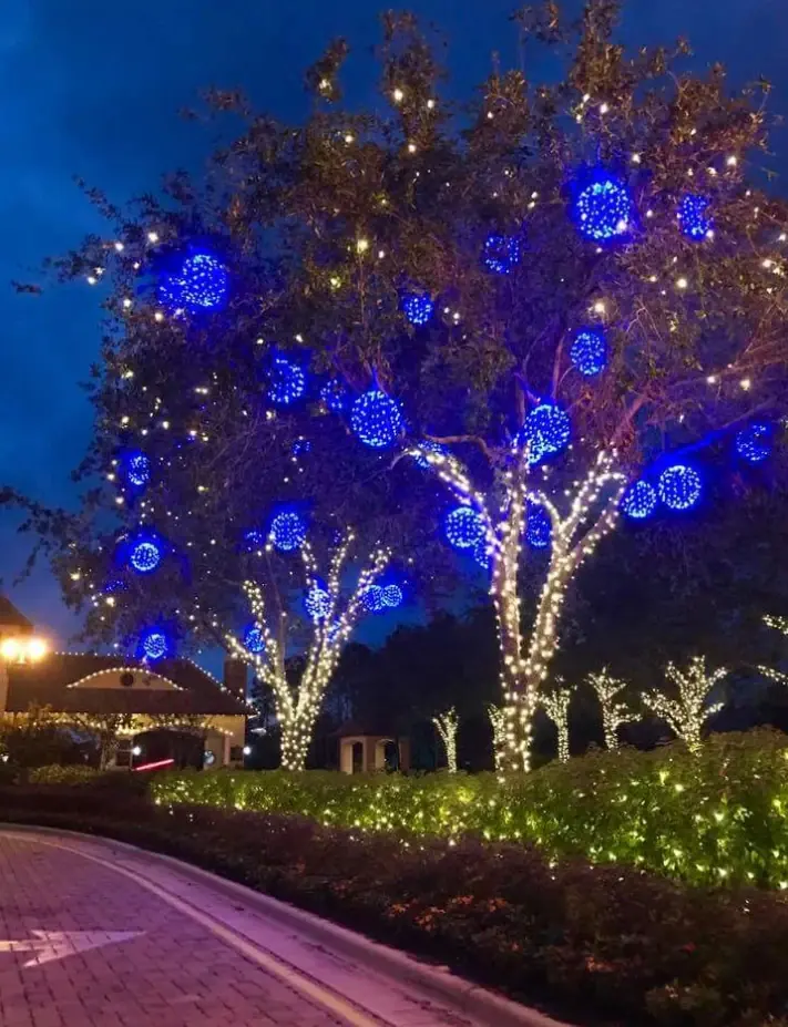 Commercial entrance with blue light spheres hung in the canopy and trunks wrapped in warm white