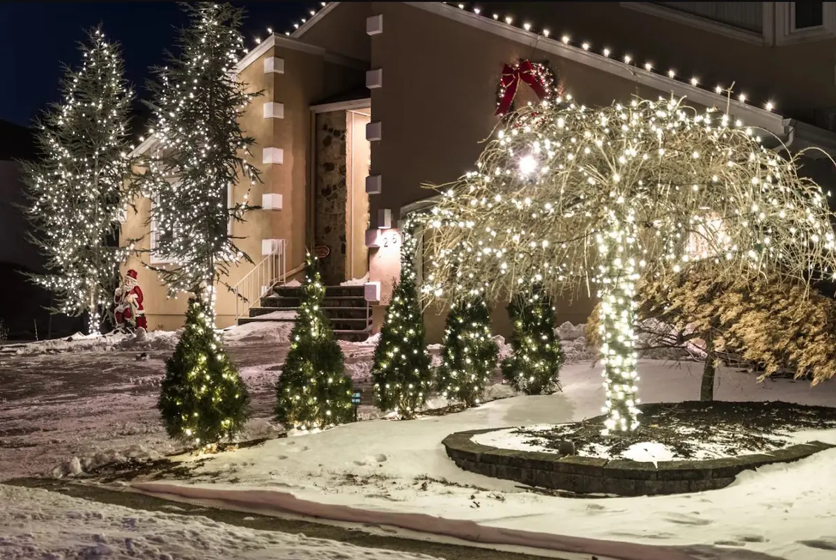 Evergreens and a weeping tree wrapped in warm white lights in front of a home in the snow
